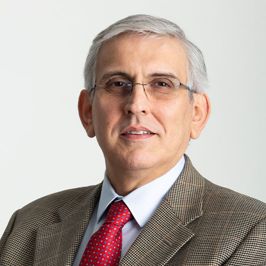 Vincenzo Greco - Chief Constraints Officer,  Procurement & Cyber  Security 